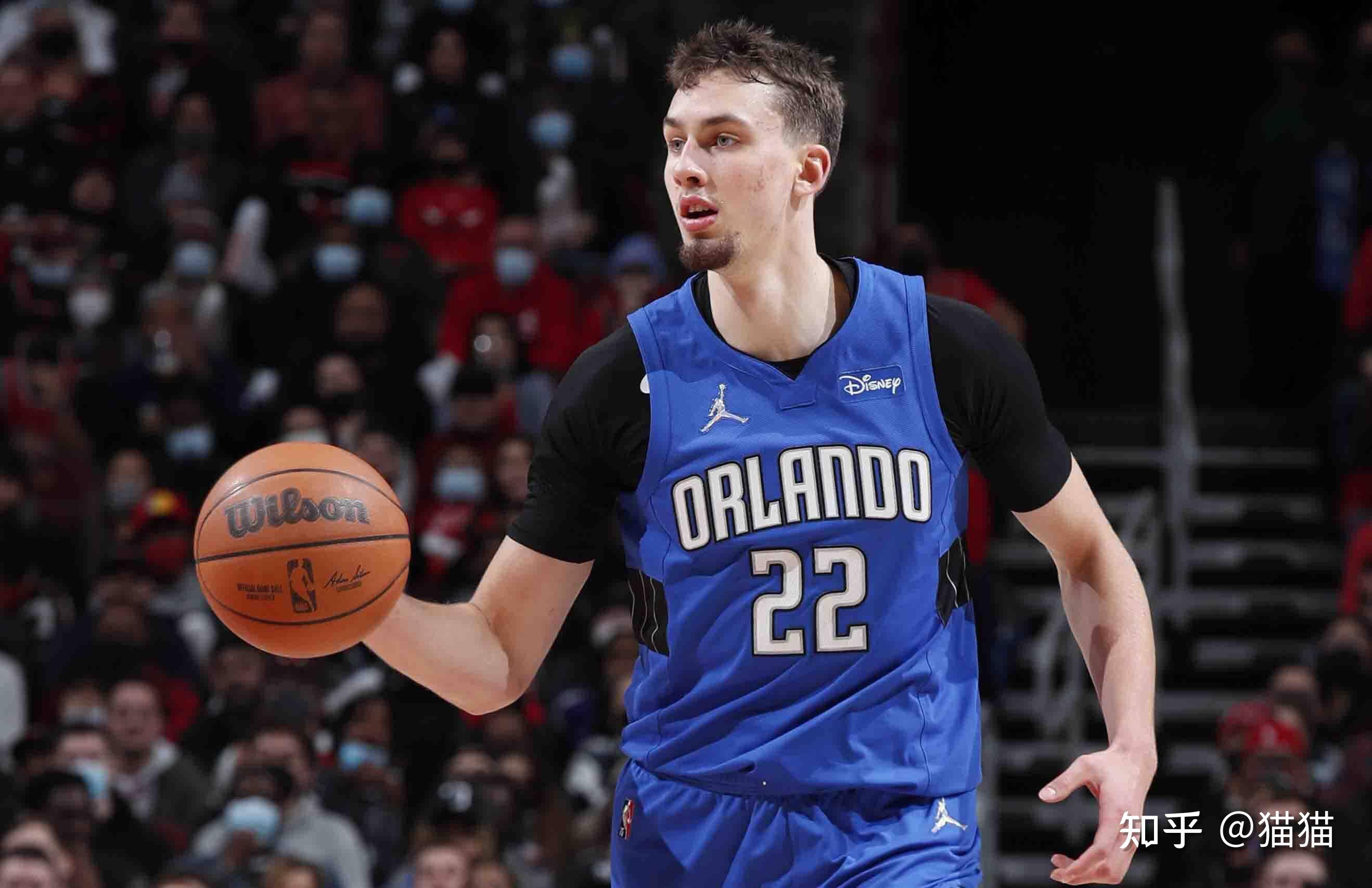 卫回归不仅 卫回归不仅